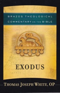 Exodus (Brazos Theological Commentary on the Bible) 封面