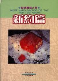 聖經難解之言：新約篇 封面