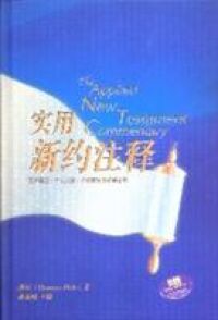 實用新約注釋（簡體字） 封面