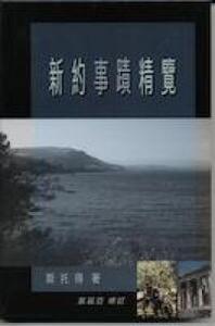 新約事蹟精覽 封面