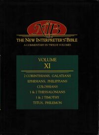 The New Interpreter 封面