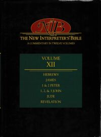 The New Interpreter 封面