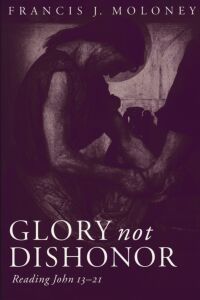 Glory Not Dishonor: Reading John 13-21 封面