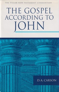 The Gospel according to John (The Pillar New Testament Commentary, PNTC) 封面