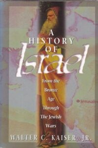 A History of Israel: From the Bronze Age through the Jewish Wars 封面