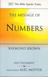 The Message of Numbers : Journey To The Promised Land 封面