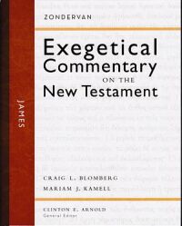 James: Zondervan Exegetical Commentary on the New Testament 封面