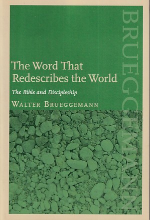 The Word That Redescribes the World: The Bible and Discipleship 封面