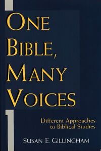 One Bible, Many Voices: Different Approaches to Biblical Studies 封面