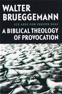 Ice Axes for Frozen Seas: A Biblical Theology of Provocation 封面