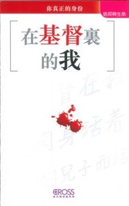 高示聖經圖表冊：在基督裏的我 封面