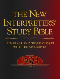 The New Interpreter 封面