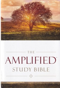 The Amplified Study Bible 封面