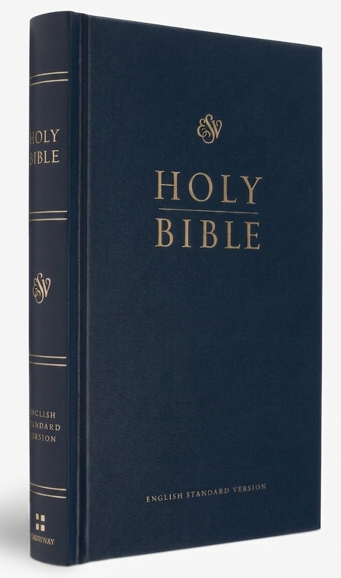 ESV Pew Bible (Blue) 封面