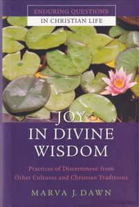 Joy in Divine Wisdom: Practices of Discernment from Other Cultures and Christian Traditions 封面