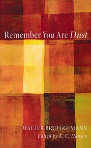 Remember You Are Dust 封面