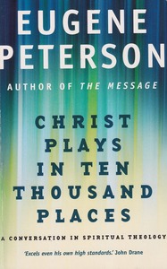 Christ Plays In Ten Thousand Places: A Conversation in Spiritual Theology 封面