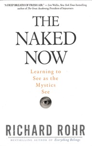 Naked Now: Learning to See as the Mystics See 封面