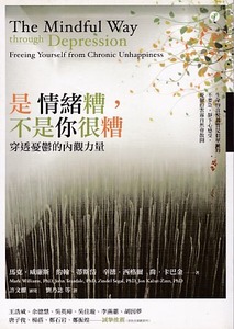 是情緒糟，不是你很糟：穿透憂鬱的內觀力量 封面