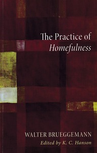 The Practice of Homefulness 封面