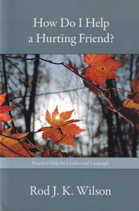 How Do I Help a Hurting Friend?: Practical Help for Leaders and Laypeople 封面