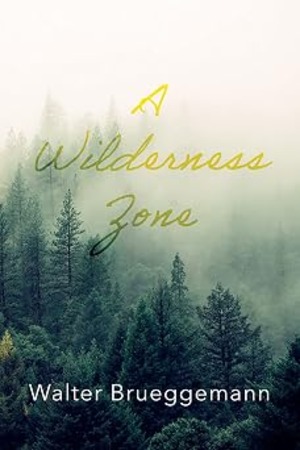 A Wilderness Zone 封面