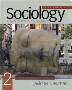 Sociology: Exploring the Architecture of Everyday Life, Brief Edition, 2nd ed 封面