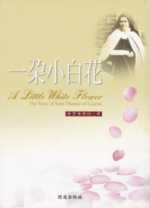 一朵小白花 封面
