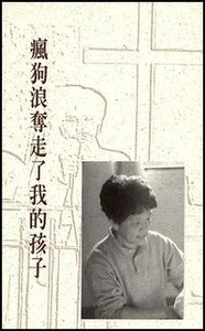 瘋狗浪奪走了我的孩子 封面