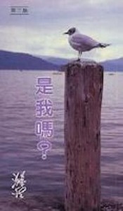 是我嗎？ 封面