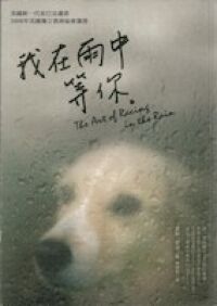 我在雨中等你 封面