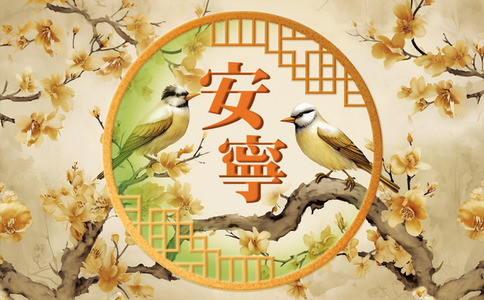 安寧：祝福卡（一包20張） 封面