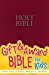 NIrV Gift & Award Bible MysteriousMaroon 封面