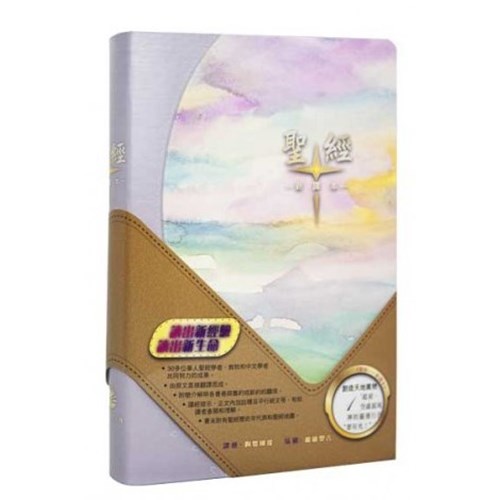 聖經 (新譯本.大型.彩色儷皮.軟精.白邊) S42TS99J2 封面