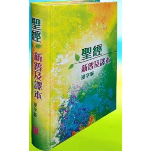 聖經(新普及譯本.浸字版.精裝)AGBCNLT001 封面