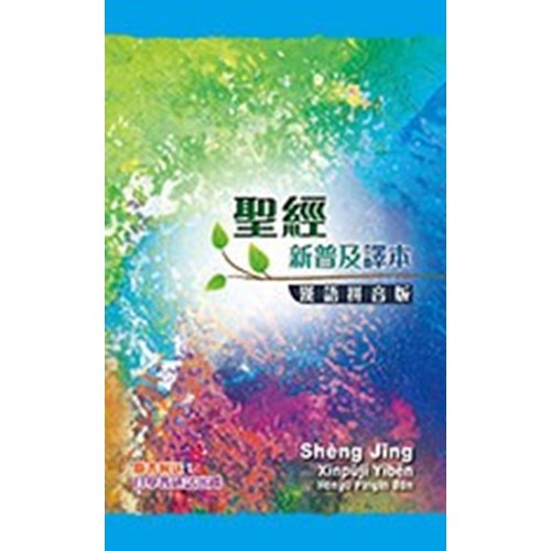聖經(新普及譯本.漢語拼音版.精裝) 封面