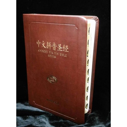 聖經 (簡體字.漢語拼音對照.姆指索引.精裝) 封面