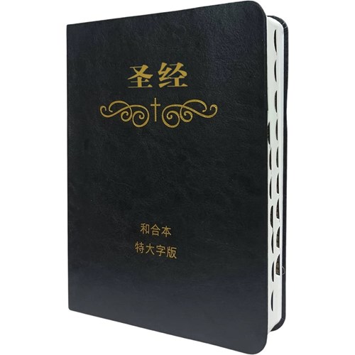 聖經(和合本.特大字版.簡體.索引.皮面.黑) 封面