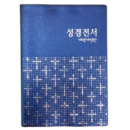 外文聖經(韓文.膠皮) NKR72TH 封面