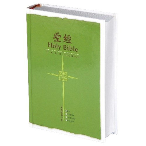 中英聖經(新標點/NRSV.小型.精.綠)NRSV/CUNP53DIG 封面