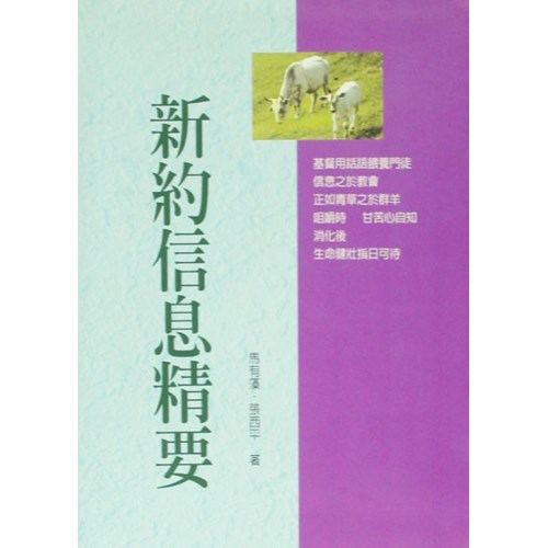 新約系列5--新約信息精要 封面
