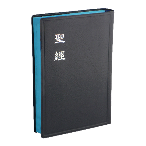 聖經(和合本.中型.膠皮.上帝版.藍) CU62BU 封面