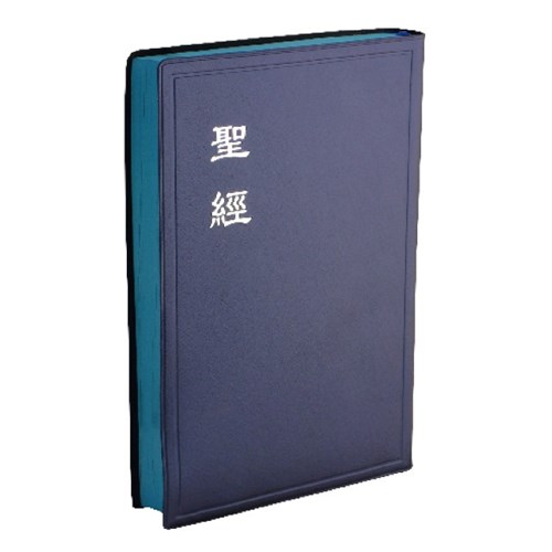 聖經(和合本.大型.典雅膠面.神版.藍) CU84APLNBU 封面