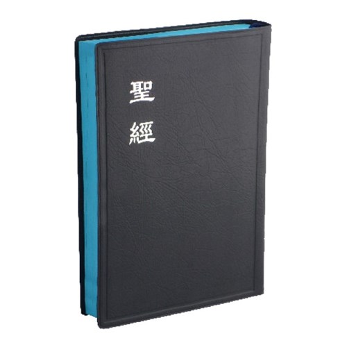 聖經 (和合本.中型.膠皮.神版.藍)CU62ABU 封面