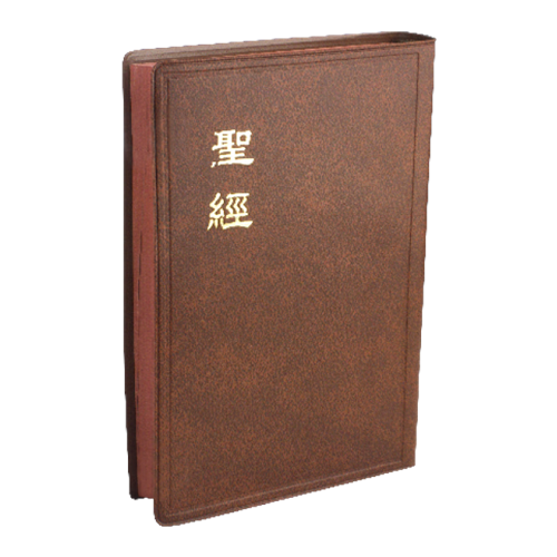 聖經(和合本.中型.膠皮.上帝版.咖) CU62BR 封面