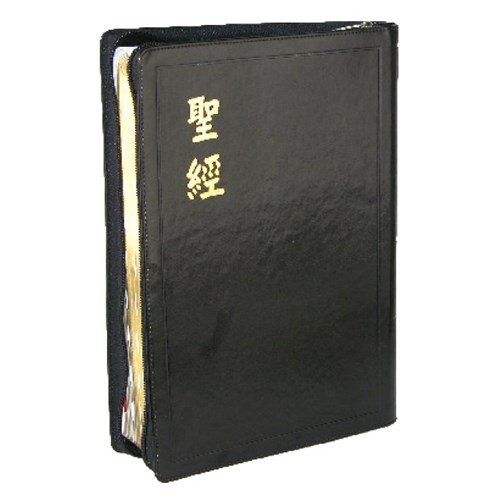 聖經(和合本.大字型.金邊.拉鍊.索引.神版) CU97AZTI 封面