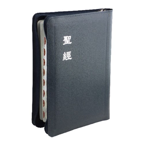 聖經 (和合本.中型.拉鍊.索引.神版.藍)CU67AZTIBU 封面