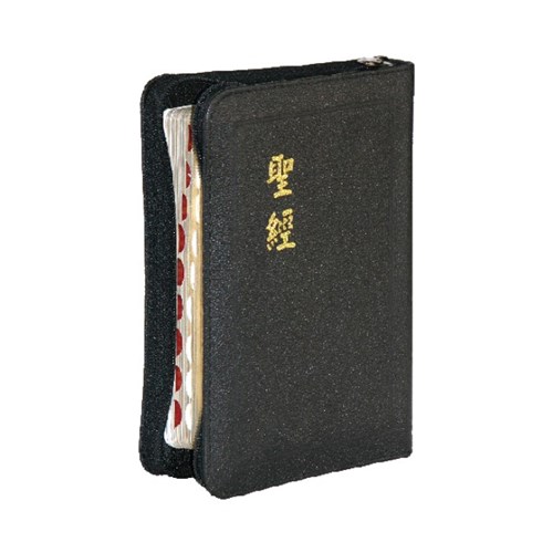 聖經 (和合本.小型.拉鍊.索引.神版)CU57AZTI 封面