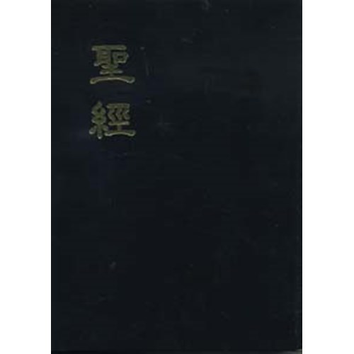 聖經 (浸.神.新標點.大字版.精裝) B31N13 封面
