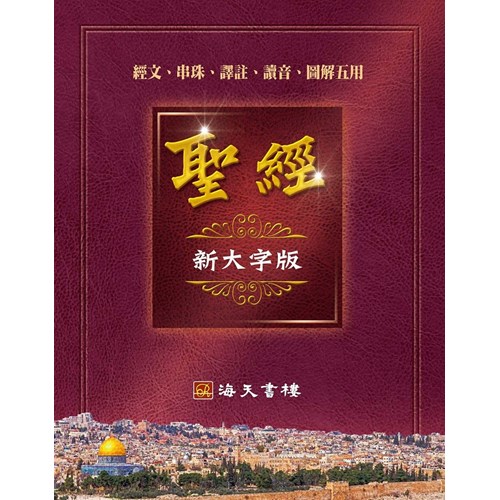 聖經--新大字版(經文.串珠.譯註.讀音.圖解五用) 封面